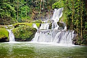 YS Falls, St  Elizabeth, Jamaica, West Indies, Caribbean, Central America.