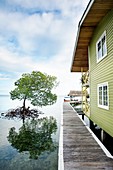 Bastimentos island, Bocas del Toro province, Caribbean sea, Panama.