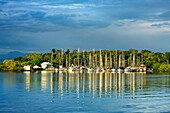 Bocas del Toro town, Colon island, Bocas del Toro province, Caribbean sea, Panama.