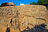 Low relief of Arjuna´s Penance the Descent of the Ganges, Mahabalipuram Mamallapuram, Tamil Nadu , India.