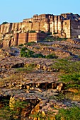 Meherangarh Fort  Jodhpur  Rajasthan  India.