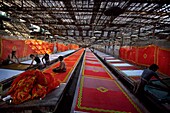 Dyeing fabrics  Jodhpur  Rajasthan  India.