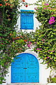 Door, Village of Sidi Bou Said near Tunis  Tunisia.