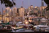 COAL HARBOUR FROM STANLEY PARK DOWNTOWN SKYLINE VANCOUVER BRITISH COLUMBIA CANADA