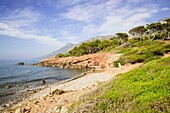 Son Bunyola beach, Banyalbufar, Natural Park of the Sierra de Tramuntana Majorca Balearic Islands Spain