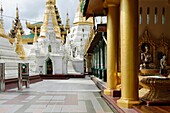 The Shwedagon Pagoda officially titled Shwedagon Zedi Daw also known as the Great Dagon Pagoda and the Golden Pagoda, is a 99 metres  325 ft  gilded pagoda and stupa  It is the most sacred Buddhist pagoda for the Burmese with relics of the past four Buddh