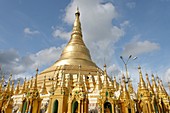The Shwedagon Pagoda officially titled Shwedagon Zedi Daw also known as the Great Dagon Pagoda and the Golden Pagoda, is a 99 metres  325 ft  gilded pagoda and stupa  It is the most sacred Buddhist pagoda for the Burmese with relics of the past four Buddh