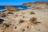 Cabo de Gata, Monsul Beach  Biosphere Reserve, Cabo de Gata-Nijar Natural Park, Almeria, Andalusia, Spain