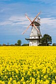 The picturesque Behlmer mill, Engeln, Lower Saxony, Germany, Europe