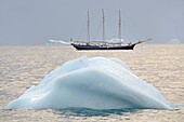 Greenland, Baffin Bay, Kigtorsaq, Schooner Rembrandt Van Rijn lying at anchor