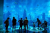 Aquarium  Atlantis, The Palm Hotel  Palm Jumeirah  Dubai city  Dubai  United Arab Emirates