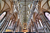 Lincoln Cathedral, Lincoln, Lincolnshire, England, UK