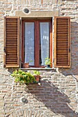 Window of Tuscany