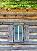 Rustic Natural Wood Window on a Log Cabin with Bright Green Moss on the Roof