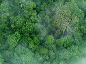 Aerial images of cityscape, landscape, and agriculture in Johor, Malaysia