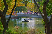 Visitors taking in the sights from the Bow Bridge in Central Park, New York, USA