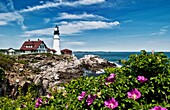 Beautiful scenic Maine in Portland Maine at the Portland Head Lighthouse with rocks on shore and flowers