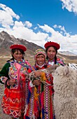 High peak at 13,000 feet of La Raya Peru with young children with llama portrait