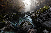Dichter Morgennebel über dem Fluss Savica und den Felsen im Bachbett, Gorenjska, Slowenien