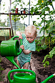 Boy (2 years) with watering pots in a greenhouse, Freital, Saxony, Germany