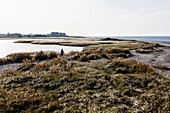 Scenery at lake Riedensee, Kagsdorf, Bastorf, Mecklenburg-Western Pomerania, Germany