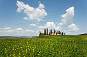 Tuscan country house and cypresses, Val d'Orcia, Orcia valley, UNESCO World Heritage Site, near Pienza, province of Siena, Tuscany, Italy, Europe