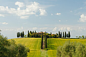 Landhaus mit Zypressen, Allee, Felder, Val d'Orcia, UNESCO Weltkulturerbe, bei San Quirico d´Orcia, Provinz Siena, Toskana, Italien, Europa