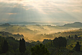 Fog at sunrise, landscape near San Gimignano, province of Siena, Tuscany, Italy, Europe