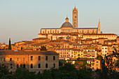 Stadtansicht mit Duomo Santa Maria, Kathedrale, Dom, Siena, UNESCO Weltkulturerbe, Toskana, Italien, Europa