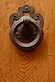 Door knocker on the door, Pistoia, Via Francigena, Tuscany, Italy, Europe
