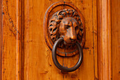 Door knocker in the shape of a lions head on a door in the historic centre of Florence, UNESCO World Heritage Site, Firenze, Florence, Tuscany, Italy, Europe