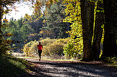 Young woman jogging through wood in autumn, Bavaria, Germany