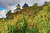 Matthiaskapelle und Oberburg in Kobern-Gondorf, Mosel, Rheinland-Pfalz, Deutschland, Europa