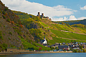 Burg Thurant Castle, Alken, Mosel, Rhineland-Palatinate, Germany, Europe