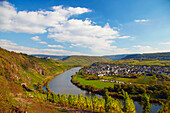 Blick vom Prinzenkopf oberhalb von Alf auf Pünderich und Marienburg und Mosel, Rheinland-Pfalz, Deutschland, Europa