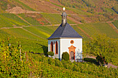 Chapel Grabkapelle Kesselstatt at Kroev, Mosel, Rhineland-Palatinate, Germany, Europe