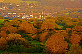 Blick auf Nistertal im Herbst, Westerwald, Rheinland-Pfalz, Deutschland, Europa