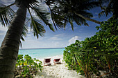 Two beach chairs at sandy beach, Biyadhoo Island, South Male Atoll, Maldive Islands
