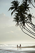 Beach of Unawatuna, Galle District, Southern Province, Sri Lanka