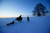 Father with two children carrying Christmas tree through snow, Degerndorf, Munsing, Upper Bavaria, Germany