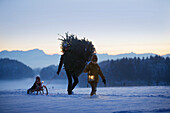 Vater mit zwei Kindern trägt Weihnachtsbaum durch Schnee, Degerndorf, Münsing, Oberbayern, Deutschland