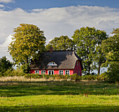 House with thatched roof, Putgarden, Kap Arkona, Ruegen, Mecklenburg-Western Pomerania, Germany