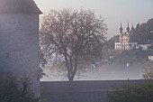 Festung Marienberg im Nebel, Kapunzinerkloster Käppele, Würzburg, Bayern, Deutschland