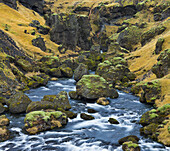 mossbedeckte Steine am Fluss Skoga, Südisland, Island