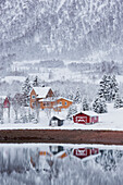 Spiegelung der Häuser im Wasser, Fiskefjorden, Hinnoya, Vesteralen, Nordland, Norwegen