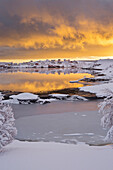 Reine im Morgenlicht, Moskenesoya, Lofoten, Nordland, Norwegen