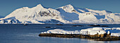 Henningsvaerstraumen, Vestvagoya, Lofoten, Nordland, Norwegen