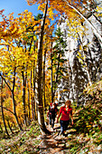 Wanderer beim Aufstieg über Ghackte zum Hochschwabgipfel, Steiermark, Österreich