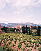 SPAIN, La Rioja, vineyard with houses and mountain range in background