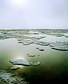 USA, Alaska, ice floe landscape, Point Barrow